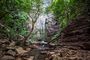 Regenwald bei Difendelo, nahe Guinea
