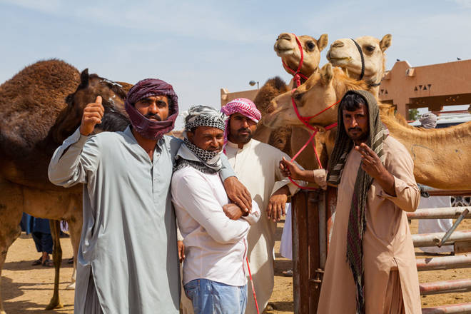 auf dem Kamelmarkt in Al Ain
