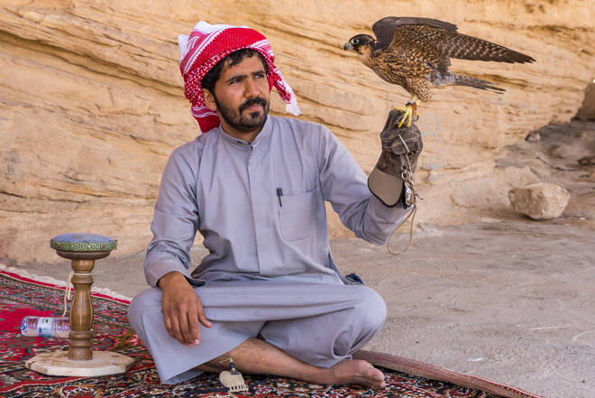 Jagd-Falken sind der ganze Stolz vieler Araber