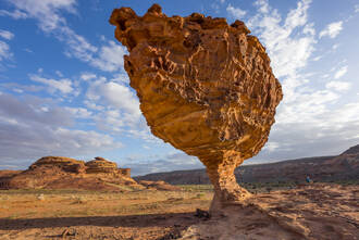 Der schönste Mushroom Rock, den wir je gesehen haben