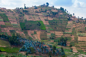 jeder Quadratmeter in Ruanda ist bewirtschaftet