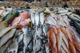 große Auswahl auf dem Fischmarkt