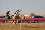 Camel-Race in Sweihan