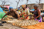 Fischmarkt in Kafountine