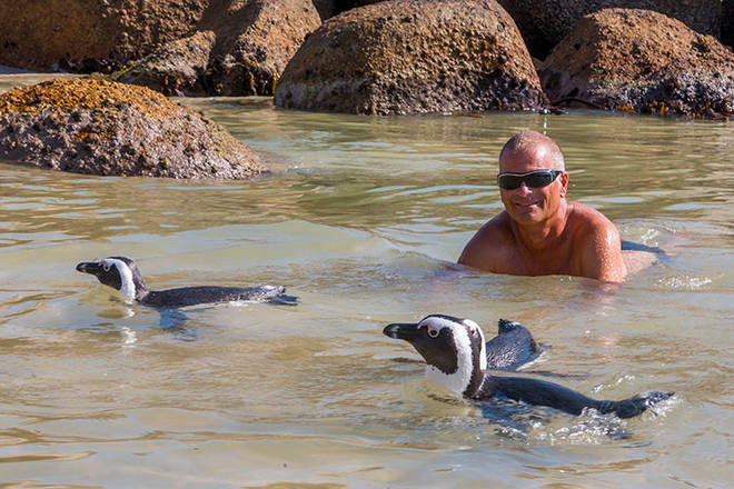 Tommy badet mit Pinguinen