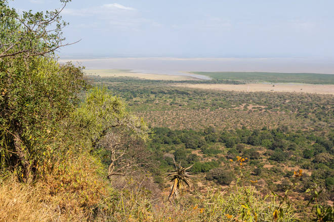 Blick über den Lake Manyara