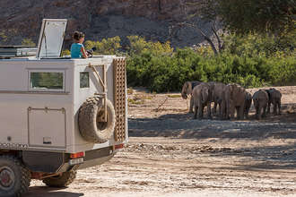 beim beobachten der Wüstenelefanten im Hoanib-Tal
