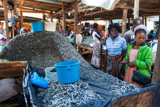 Fischmärkte mit überwiegend Trockenfisch
