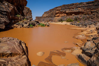 Guelta Matmata - Refugium der letzten Sahara-Krokodile