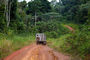 Regenwaldpiste an der Grenze zu Äquatorialguinea