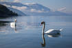 Romantisches Ambiente am Ohrid See