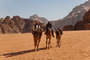 Beduinen im Wadi Rum