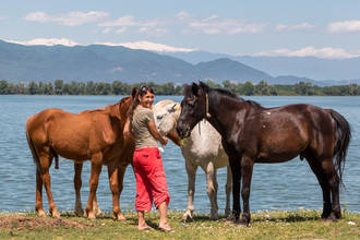 Pferde am Lake Kerkini, im Hintergrund die verschneiten Berge Bulgariens