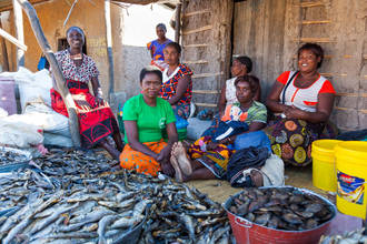 Verkauf von Trockenfisch am Markt in Mongu