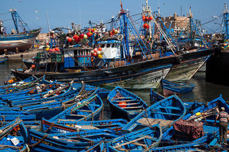 im Hafen von Essaouira