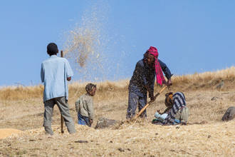 traditionelle Verarbeitung des Getreides