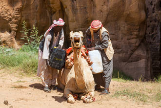 Das Kamel wird unter lautstarkem Protest mit den Wasservorräten beladen