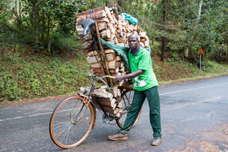 bis zu 300 kg Holz werden auf dem Fahrrad ins Tal geschoben