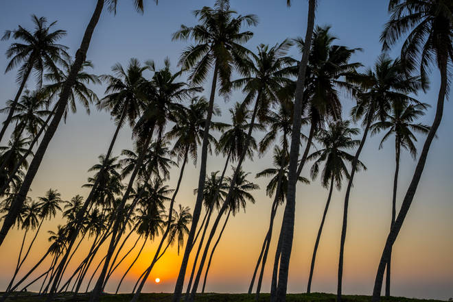Sonnenaufgang am Palmenstrand von Salalah