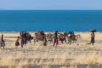 Turkana-Clan auf dem Weg zu einem neuen Siedlungsplatz