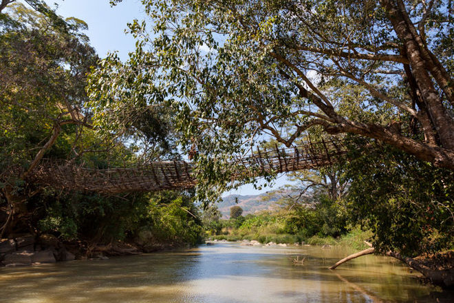 traditionelle, alte Bambusbrücke über den South Rukuru River