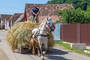 Pferdegespanne sind in Rumänen neben Luxuskarossen normales Straßenbild