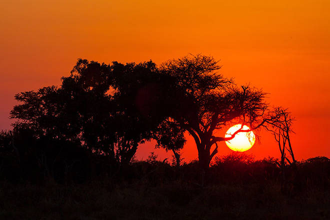 ktischiger Sonnenuntergang - Afrika pur