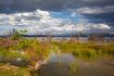 Gewitterstimmung am Lake Baringo