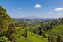 Blick über Teeplantagen zum Mount Kenia