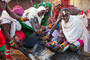 Samburu-Hochzeitszeremonie: ein Bulle wird geschlachtet