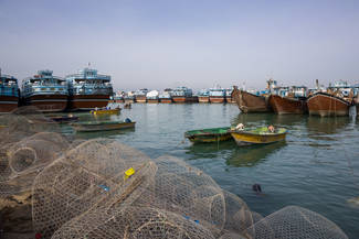 Bunte Fischflotte am Persischen Golf