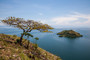 Ausblick vom Napoleon Island