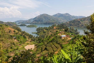 Plantagenwirtschaft am Lake Kivu
