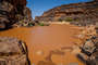 Guelta Matmata - Refugium der letzten Sahara-Krokodile