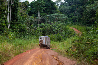 Regenwaldpiste an der Grenze zu Äquatorialguinea
