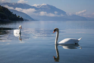 Romantisches Ambiente am Ohrid See