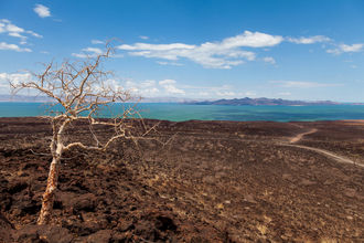 erster Blick auf den Lake Turkana