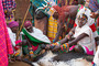 Samburu-Hochzeitszeremonie: ein Bulle wird geschlachtet