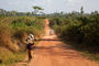 Piste entlang der liberianischen Grenze